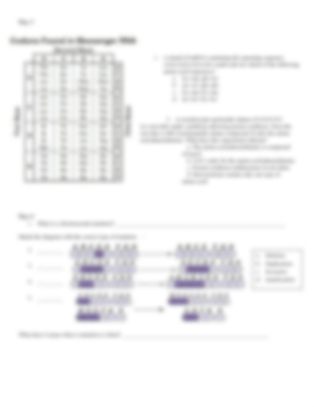 Unit 7 Protein Synthesis and Mutation Warm ups.docx_dhc41on76tg_page2