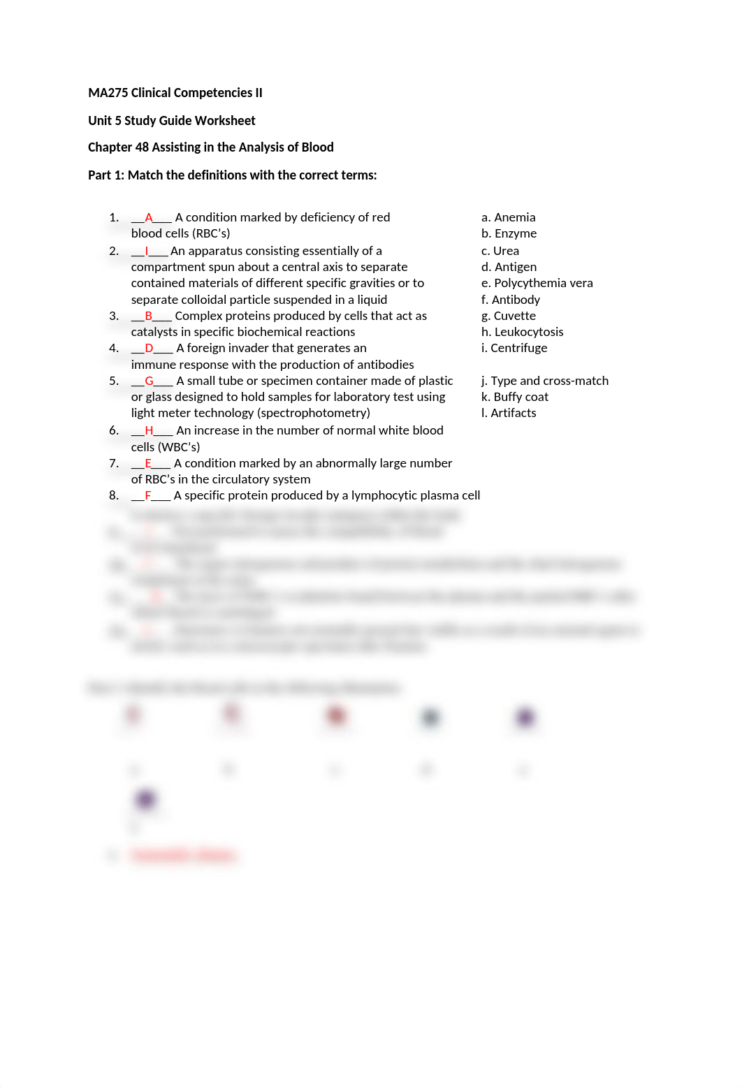 MA275_u5worksheet Unit 5 clinical 2.docx_dhc4klunvrj_page1