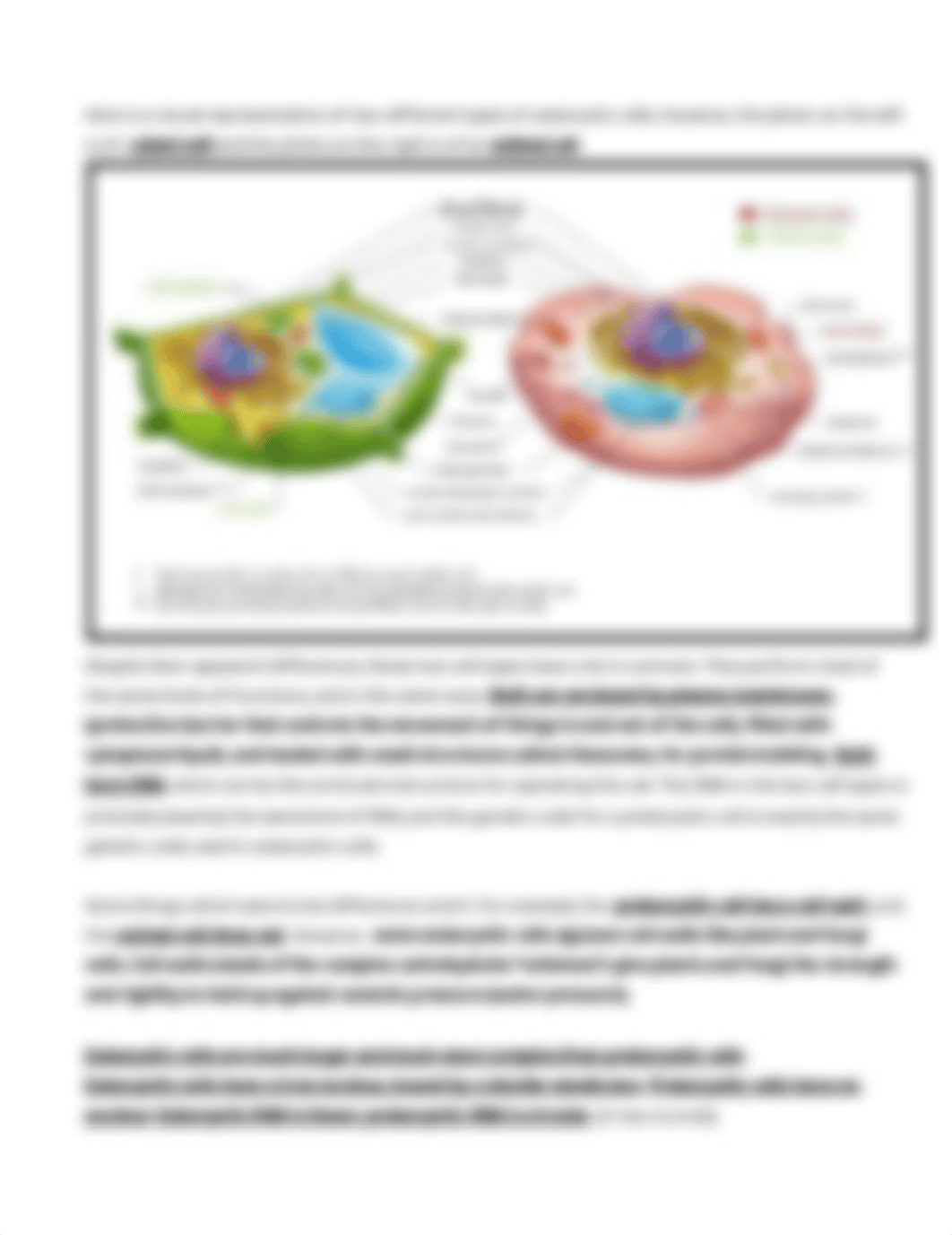 Katie_Legaspi_-_Prokaryotic_and_Eukaryotic_Cells_Worksheet_and_Concept_Map_Vassos_ (1).pdf_dhcwskj2nqk_page2