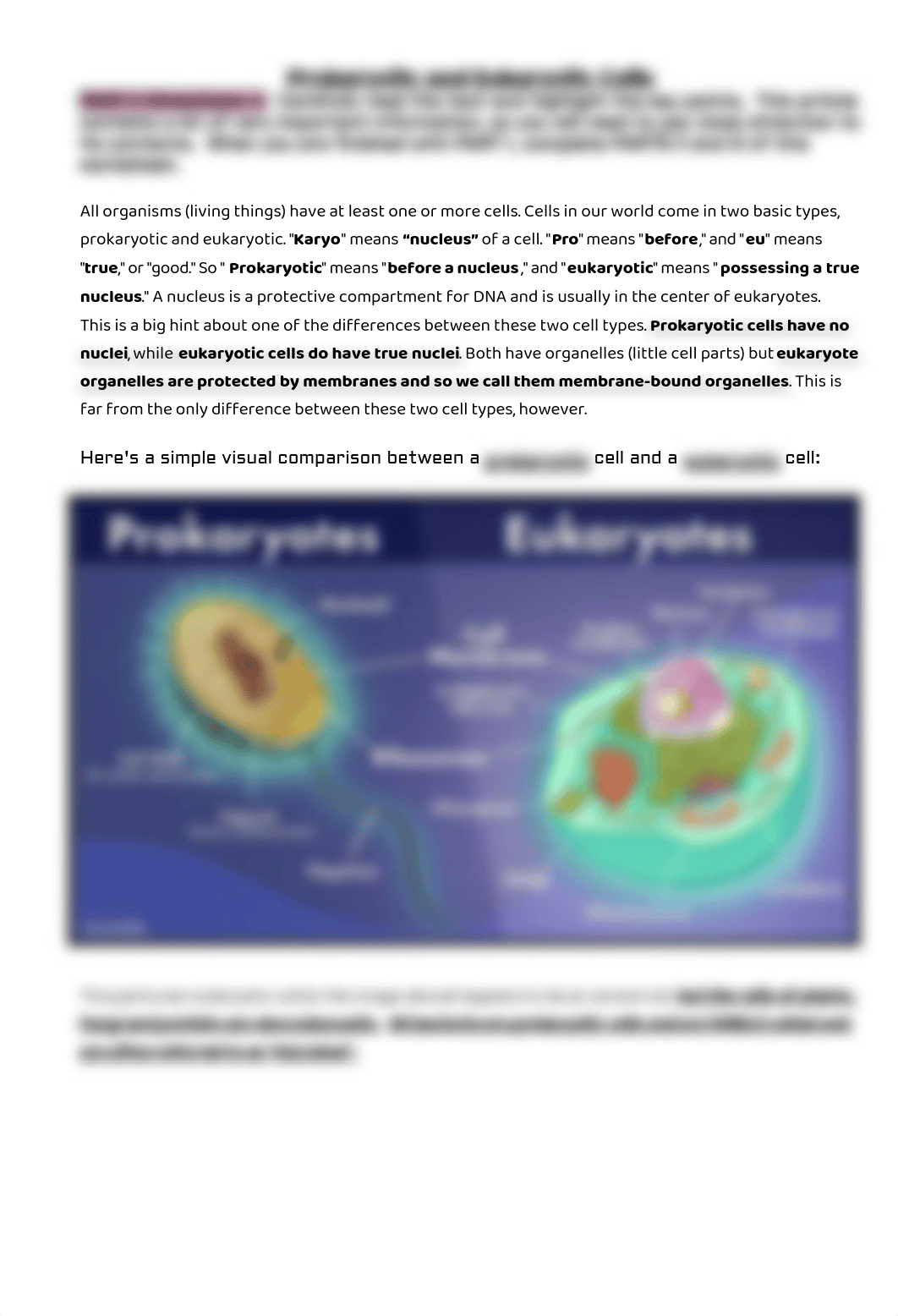 Katie_Legaspi_-_Prokaryotic_and_Eukaryotic_Cells_Worksheet_and_Concept_Map_Vassos_ (1).pdf_dhcwskj2nqk_page1