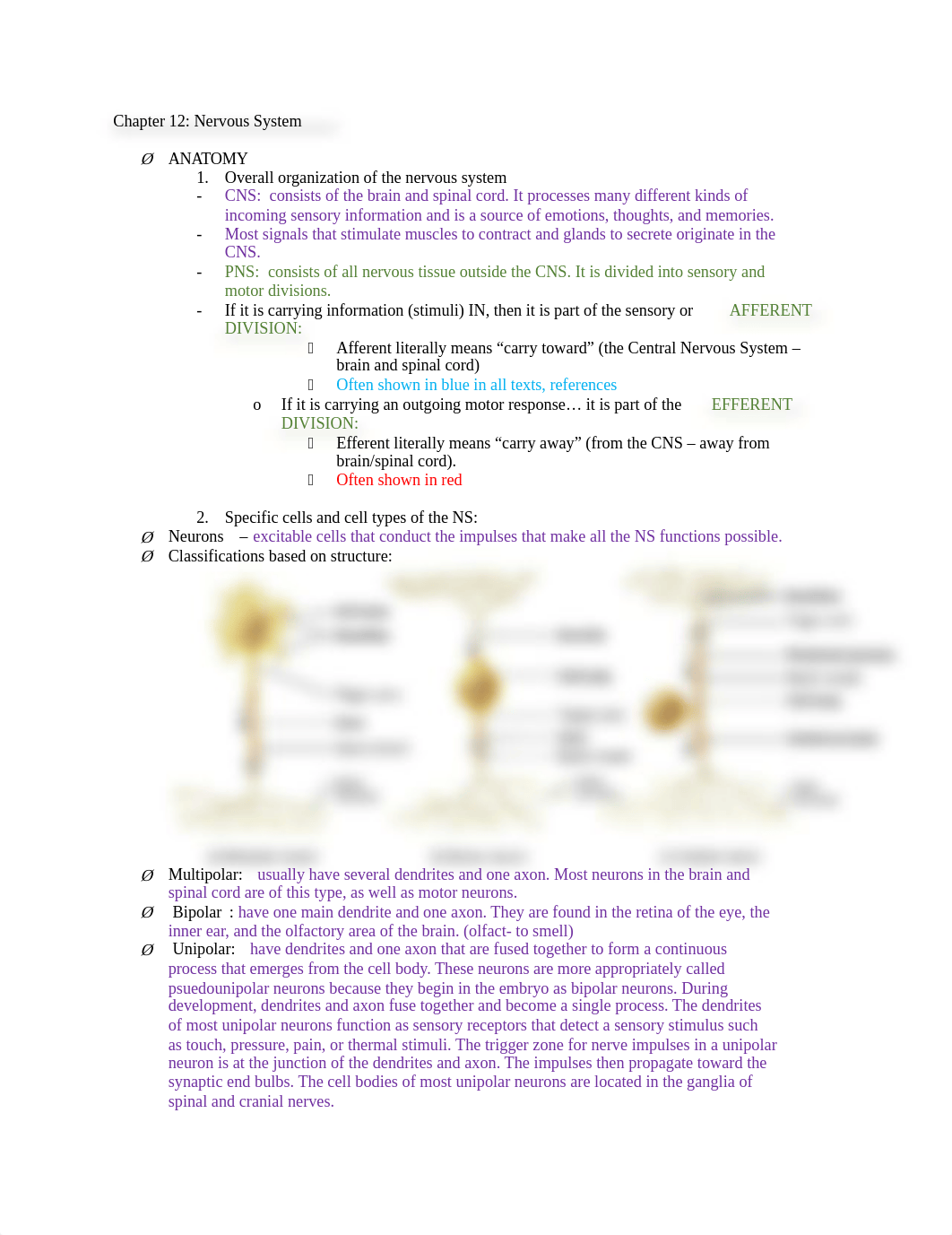 BIO 168 Chapters 12-14 Study Guide.docx_dhd0hlcsfe9_page1