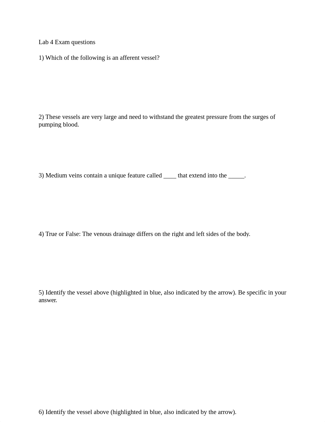 Lab 4 Exam questions.docx_dhdwamncwiy_page1