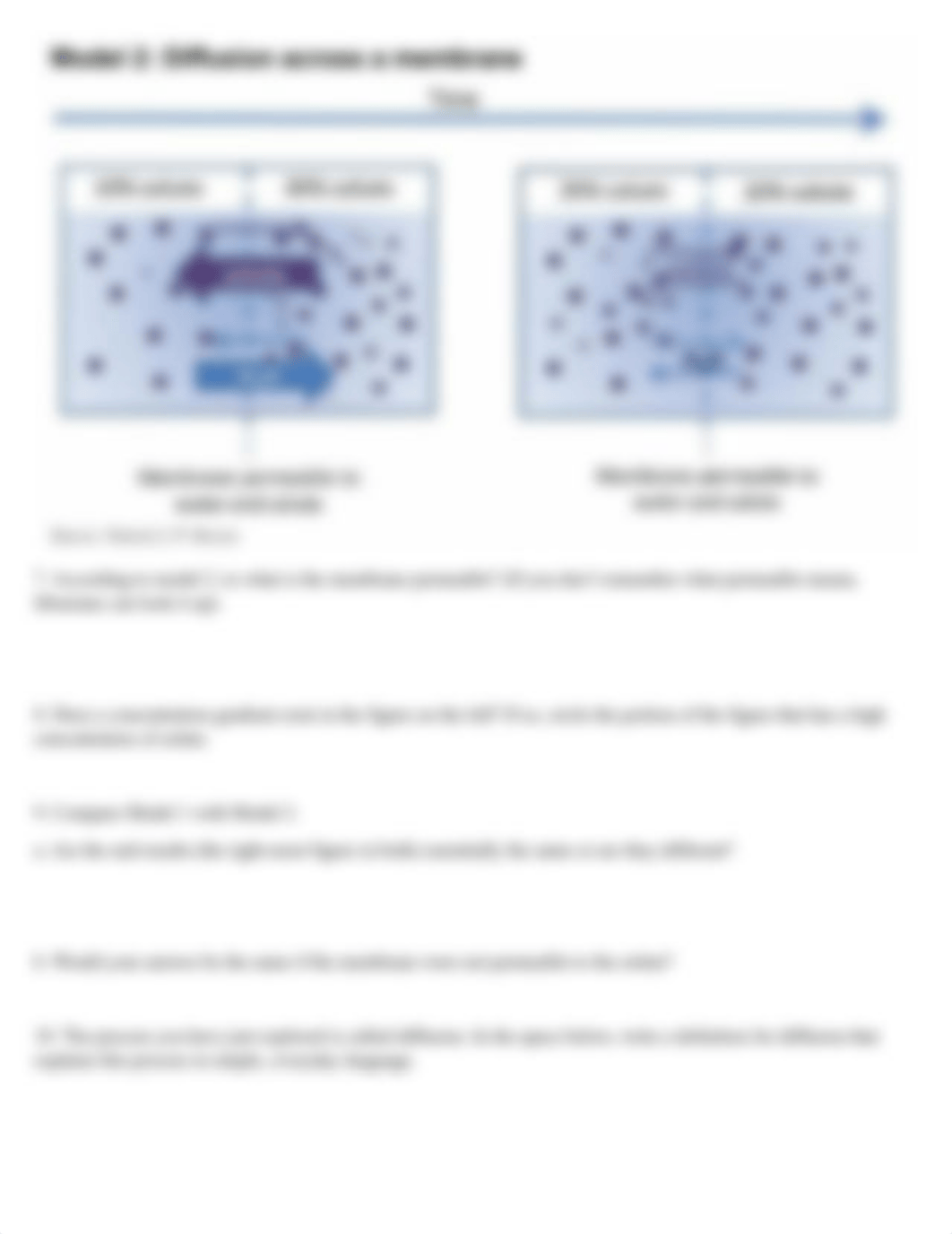 Membrane Transport.Guided-Inquiry.docx_dhe2mdhc63q_page3