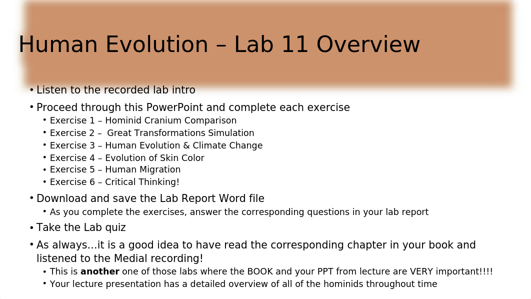 Human Evolution virtual lab(1).pptx_dhebb6dwj6u_page2