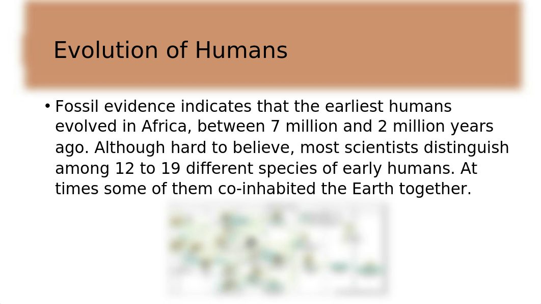 Human Evolution virtual lab(1).pptx_dhebb6dwj6u_page4