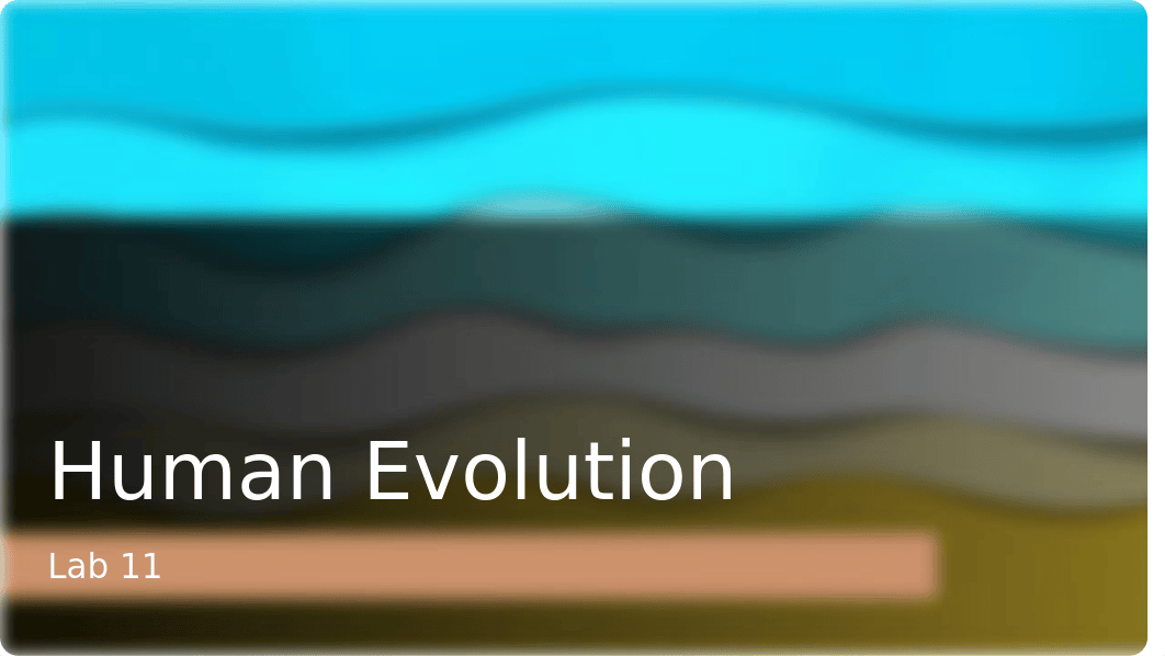 Human Evolution virtual lab(1).pptx_dhebb6dwj6u_page1