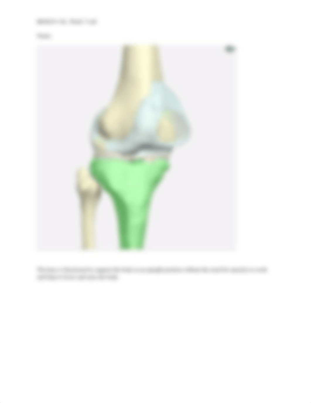 Week 7 Virtual Lab Joints.docx_dhefcy2zjt3_page3