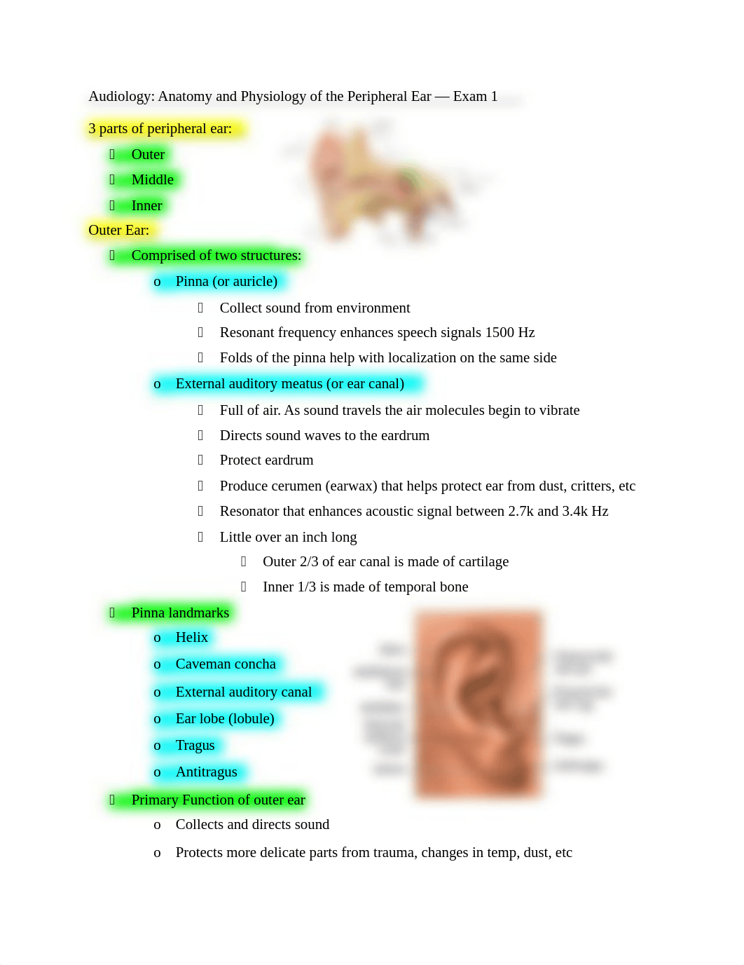 audiology exam 1 copy copy.docx_dhefr93r876_page1