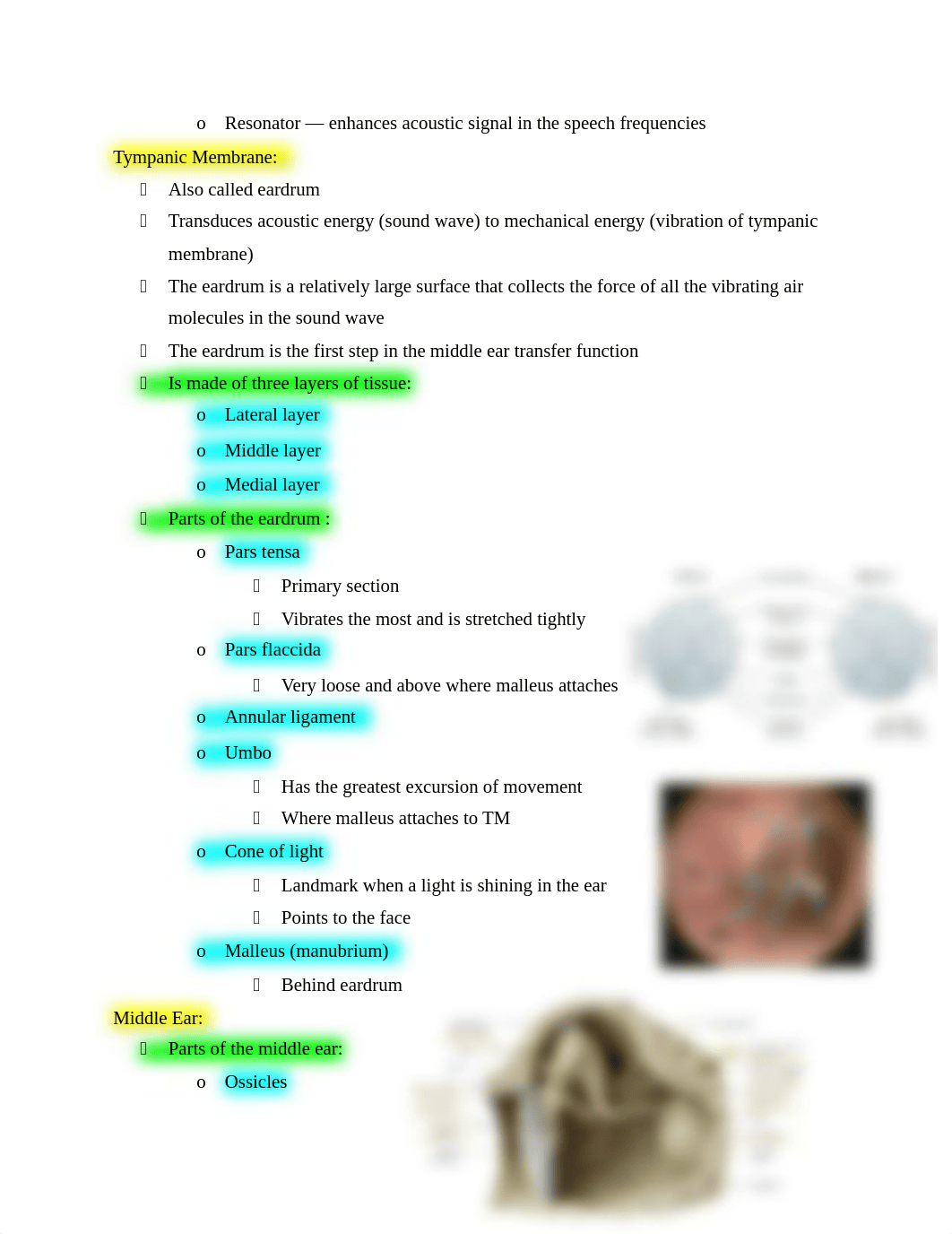 audiology exam 1 copy copy.docx_dhefr93r876_page2