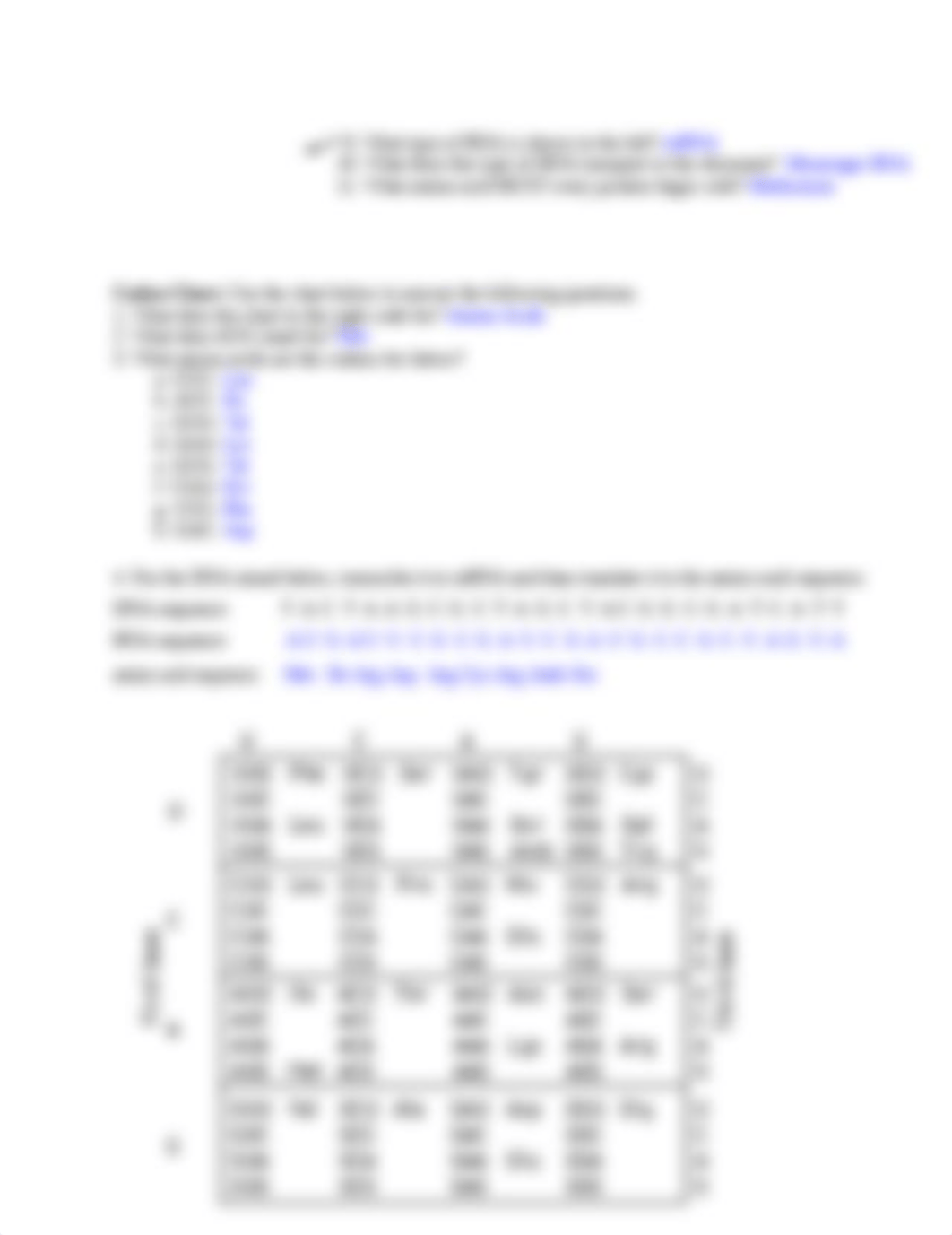 DNA_to_Protein-1_dhehp1lb2qw_page2