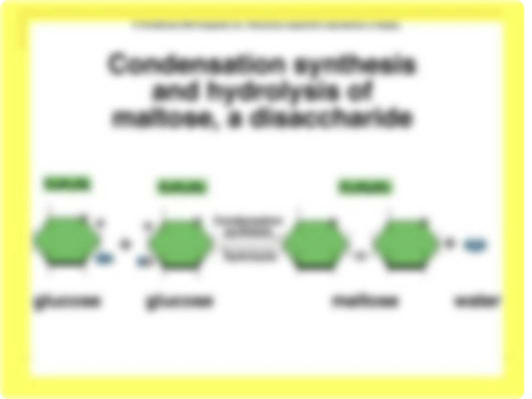 1-4_DISACCHARIDES.ppt_dhej90gojhw_page3