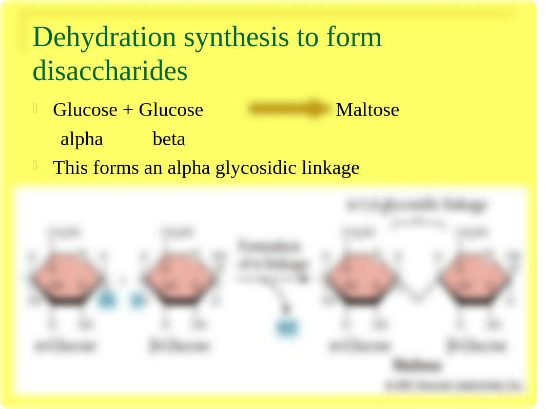 1-4_DISACCHARIDES.ppt_dhej90gojhw_page4