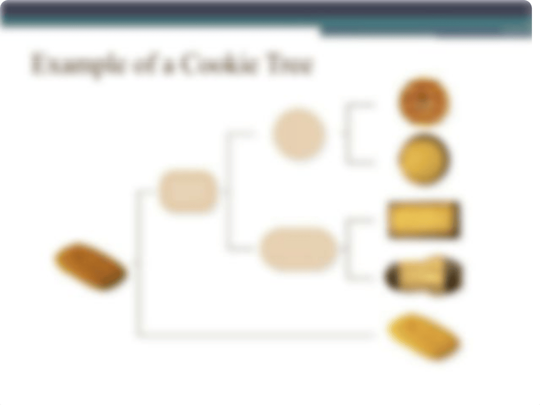 Cookie Phylogenetic Tree Activity.pptx_dhelqbdxizo_page4