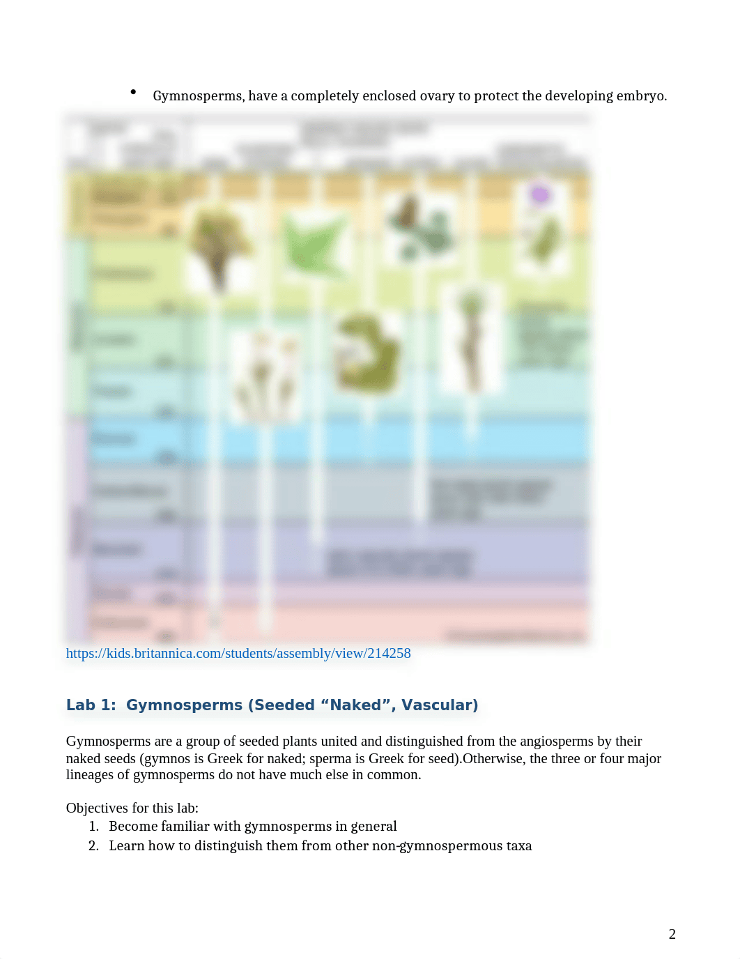 Bio 112 Lab 2 Plants II Online Version.docx_dhemflr1yf6_page2