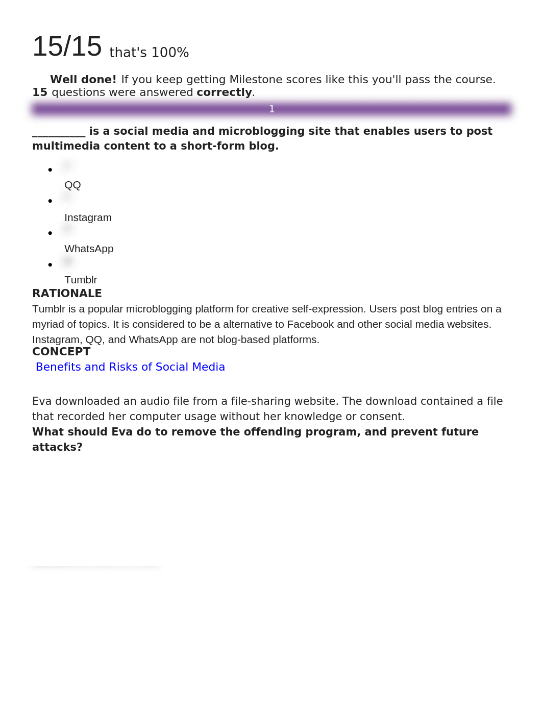 Sophia IT 200 Unit 3 Milestone .docx_dhepvdsix5e_page1