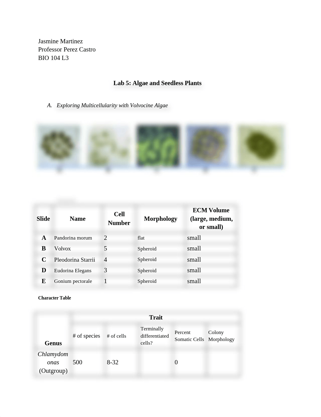 bio 104 L3 Lab 6.docx_dhfaiwstkpu_page1