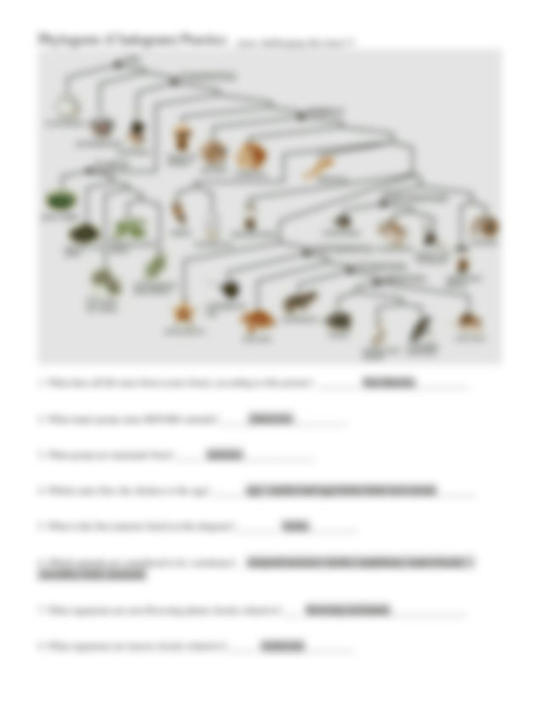 02_phylogenic_tree_practicekey.docx_dhfdcypedft_page2