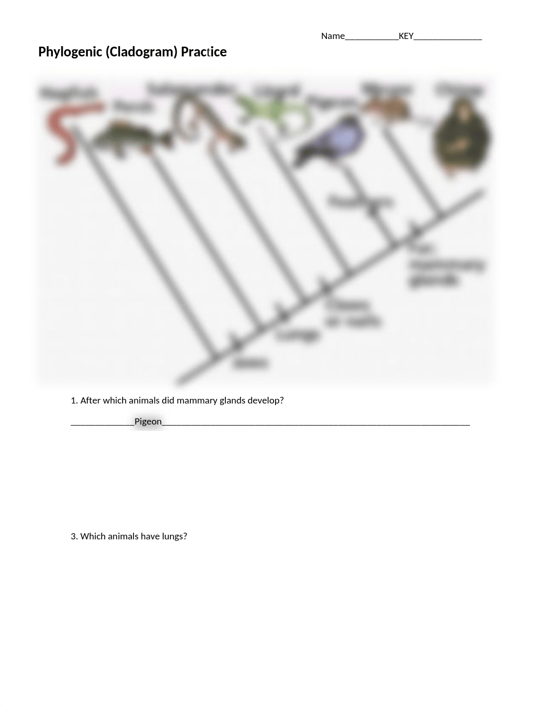 02_phylogenic_tree_practicekey.docx_dhfdcypedft_page1