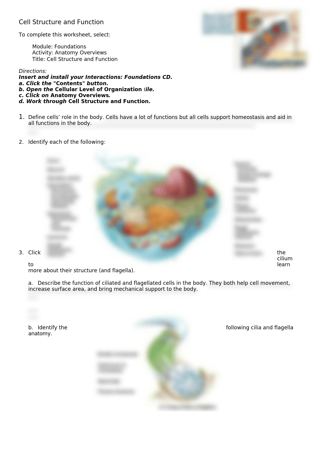 cell structure and function 3 - Copy.doc_dhfhq6446s2_page1