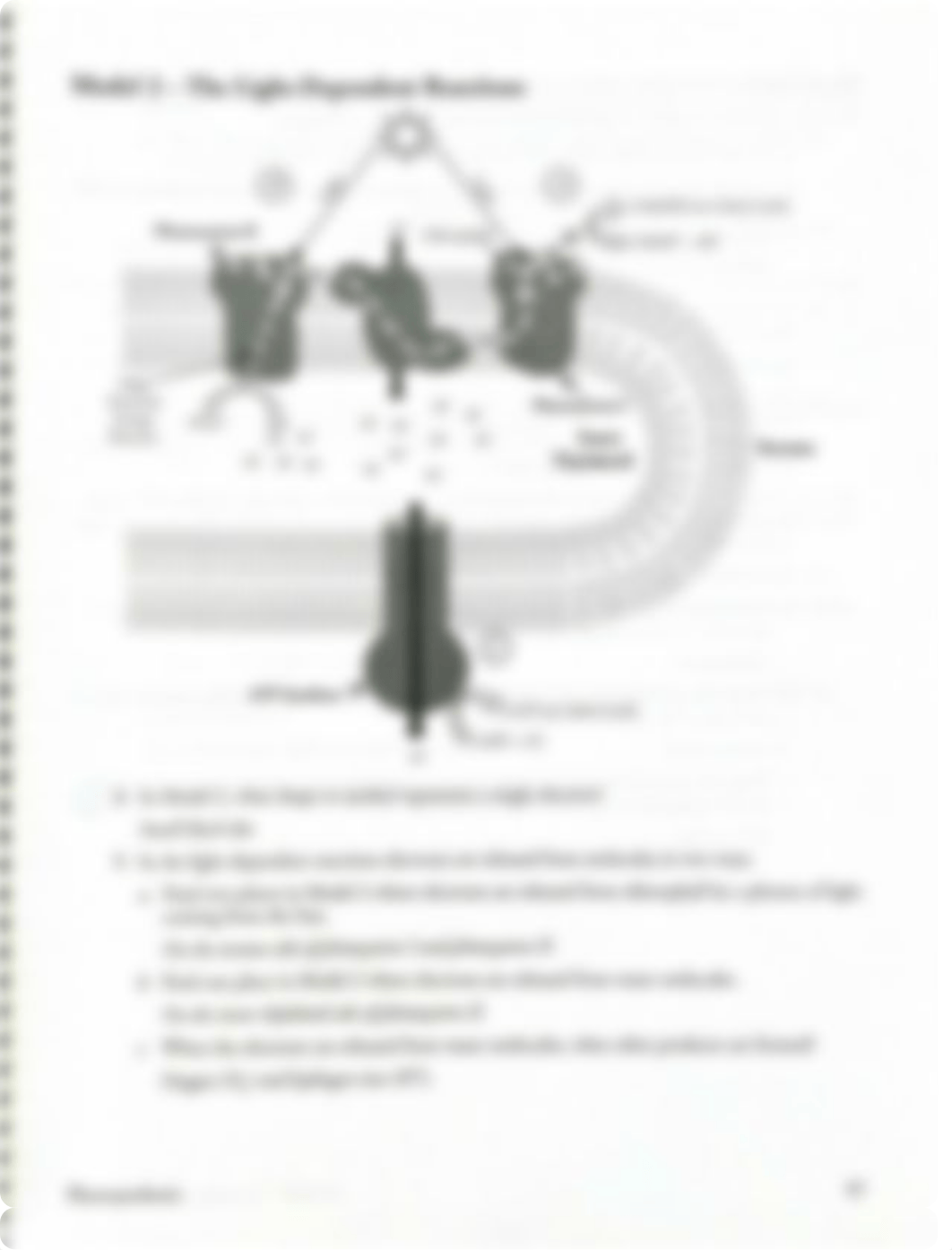 Photosynthesis+Pogil+Key.pdf_dhfignspa7y_page3