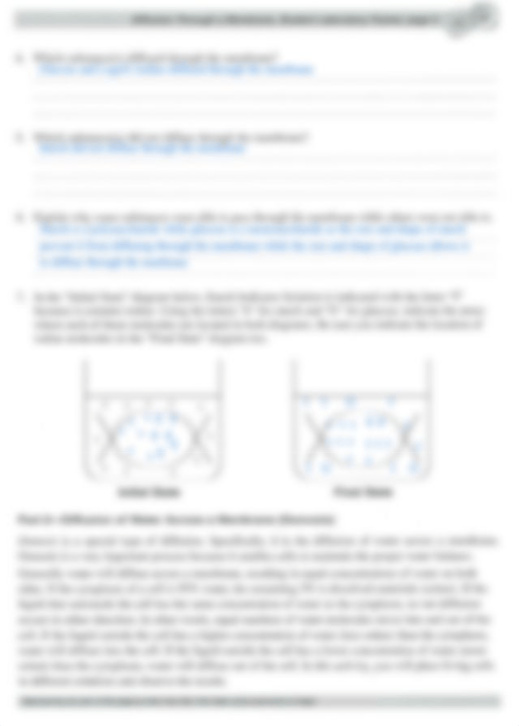 Kami Export - Diffusion_Through_a_Membrane_STATE_LAB.pdf_dhfkwxf6siq_page5