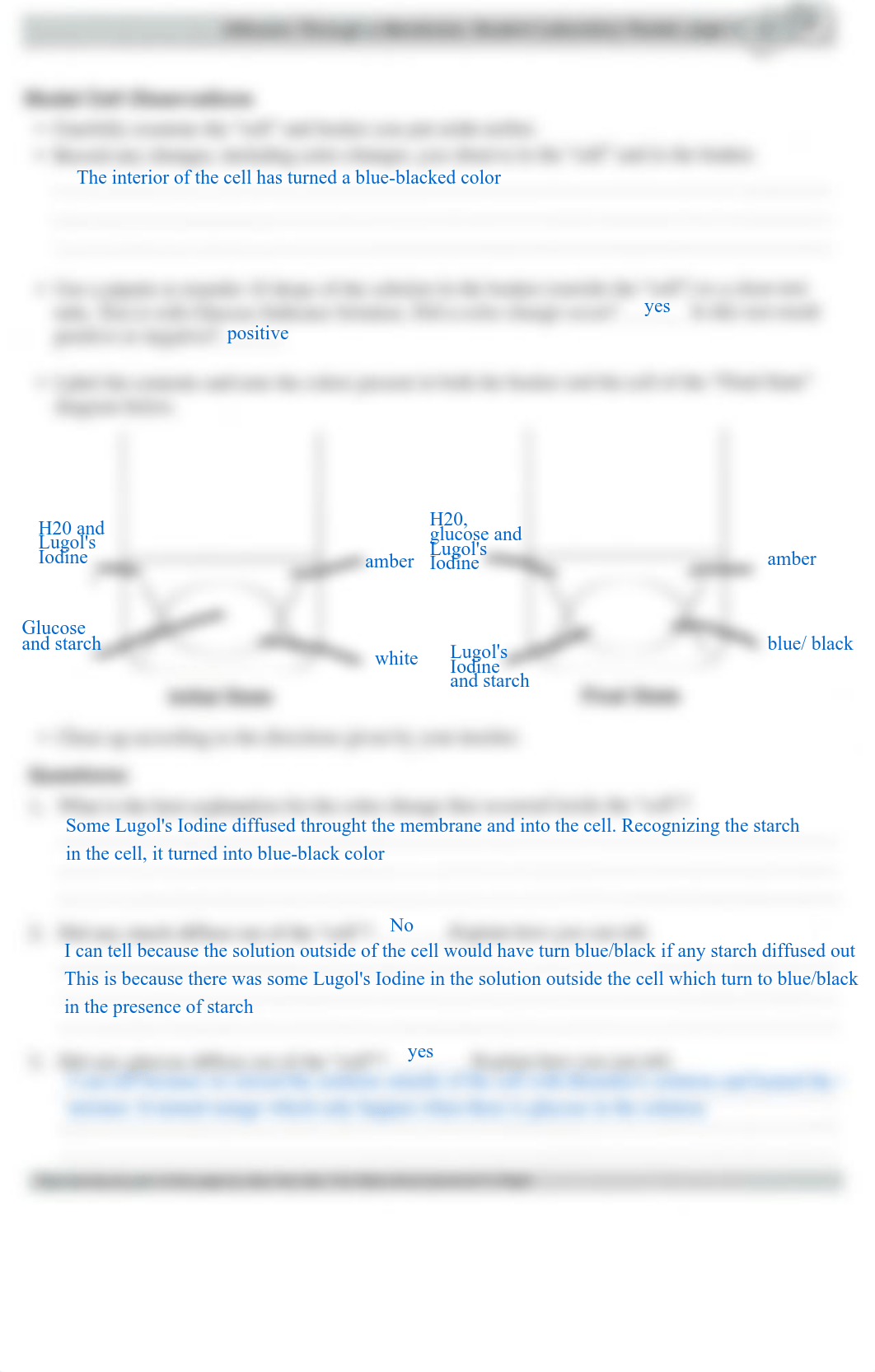 Kami Export - Diffusion_Through_a_Membrane_STATE_LAB.pdf_dhfkwxf6siq_page4