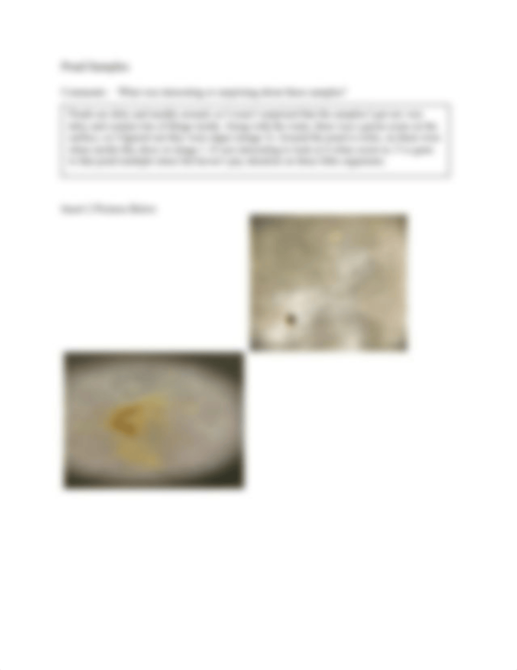 Protist Culture Worksheetv2.docx_dhfmvzkytdy_page2