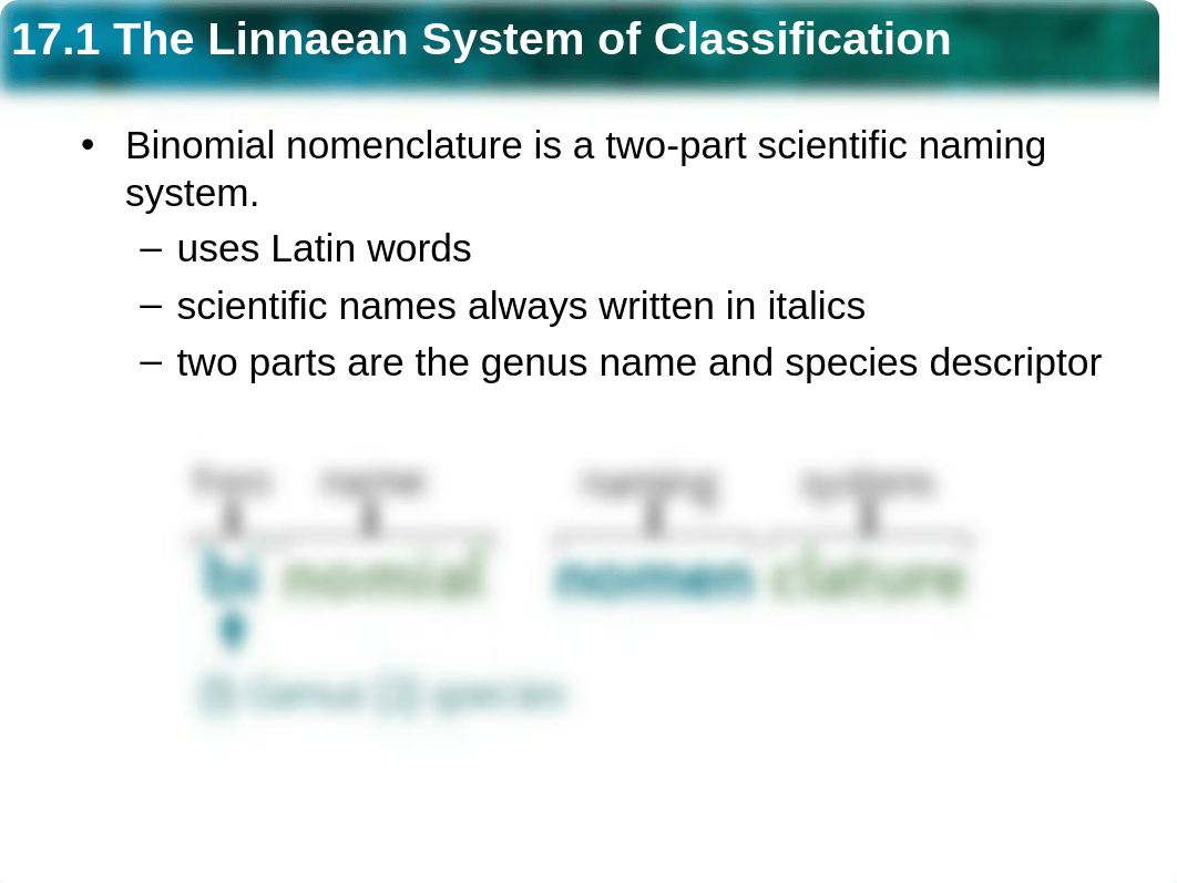 bio_ch17-1_dhfxpl3xsmh_page3