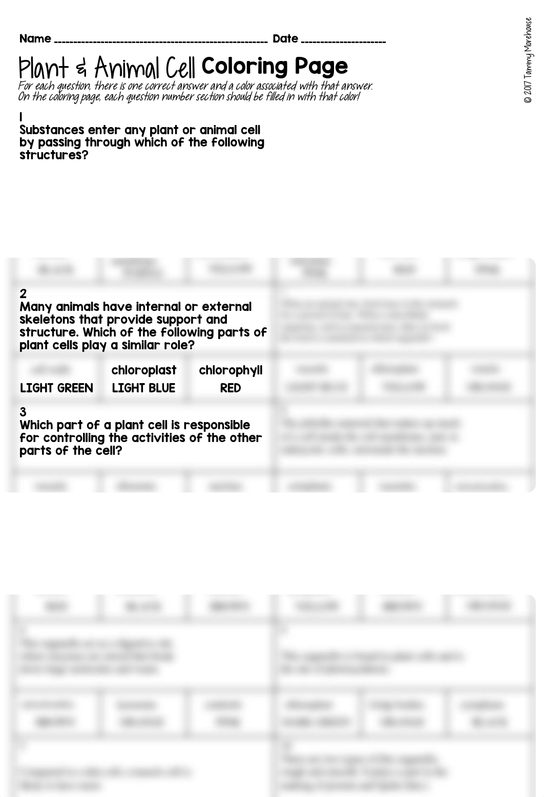 Color+By+Numbers+Cells 2.pdf_dhg81kk6dgn_page1