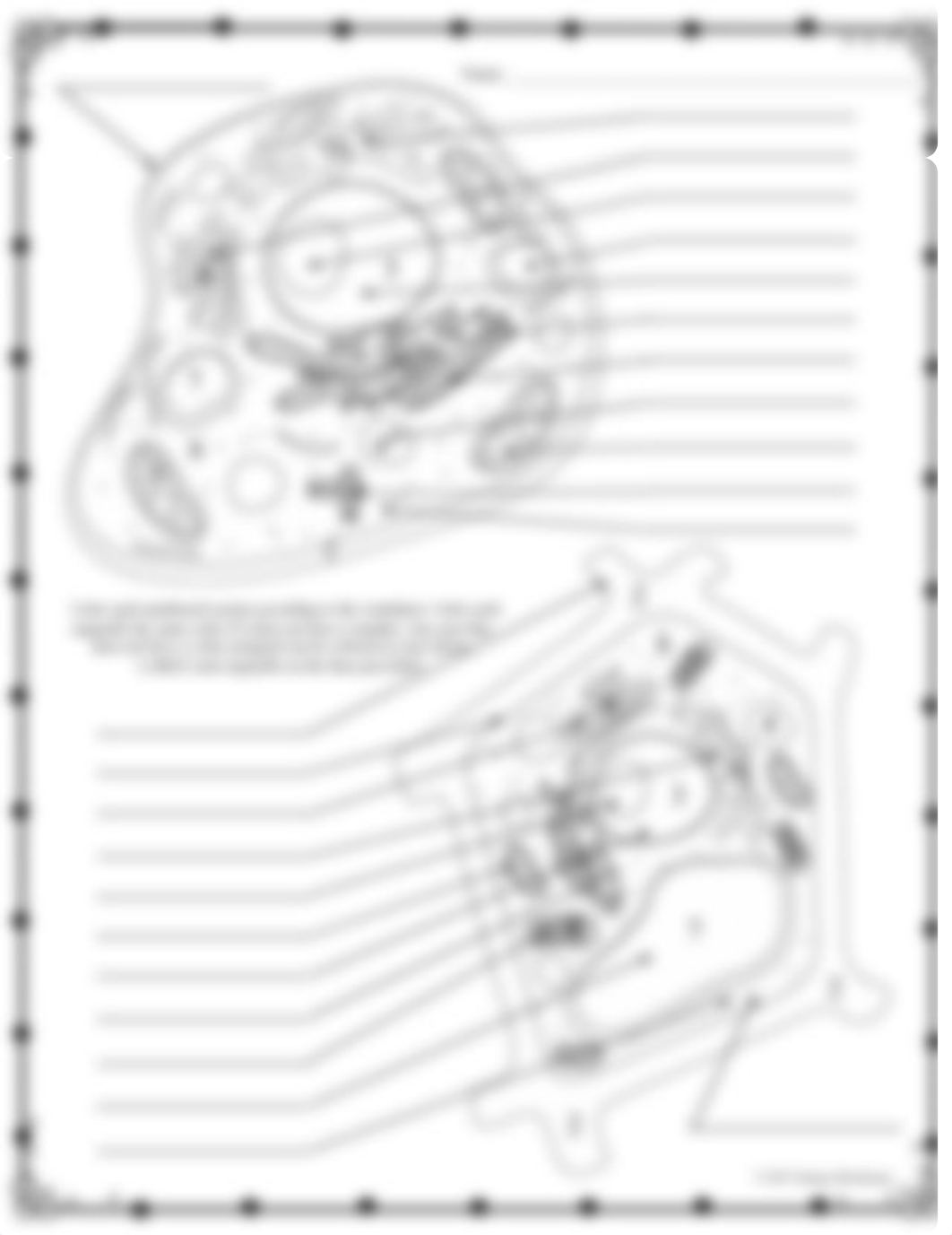 Color+By+Numbers+Cells 2.pdf_dhg81kk6dgn_page2