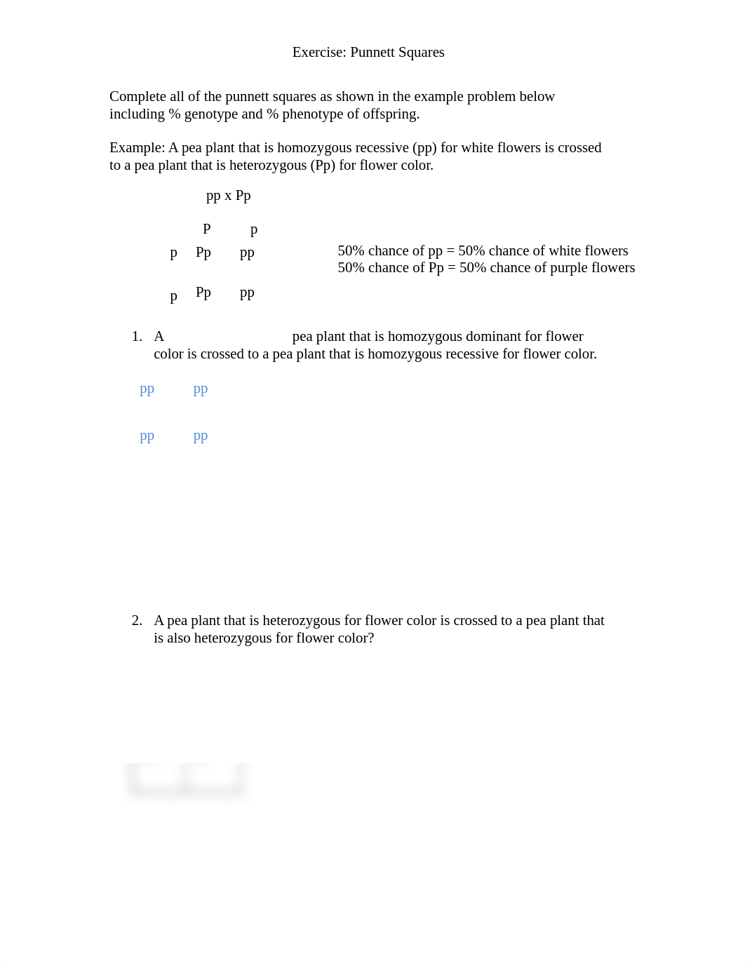 Punnett Squares.docx_dhg8rqnibds_page1