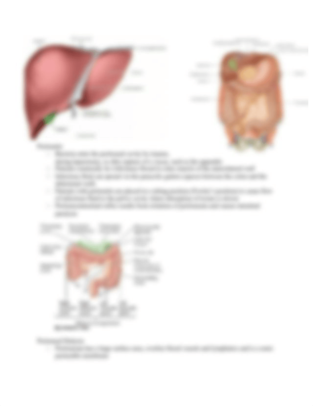 2. ABDOMEN ANATOMY EXAM 2.docx_dhgdc4w6fno_page5