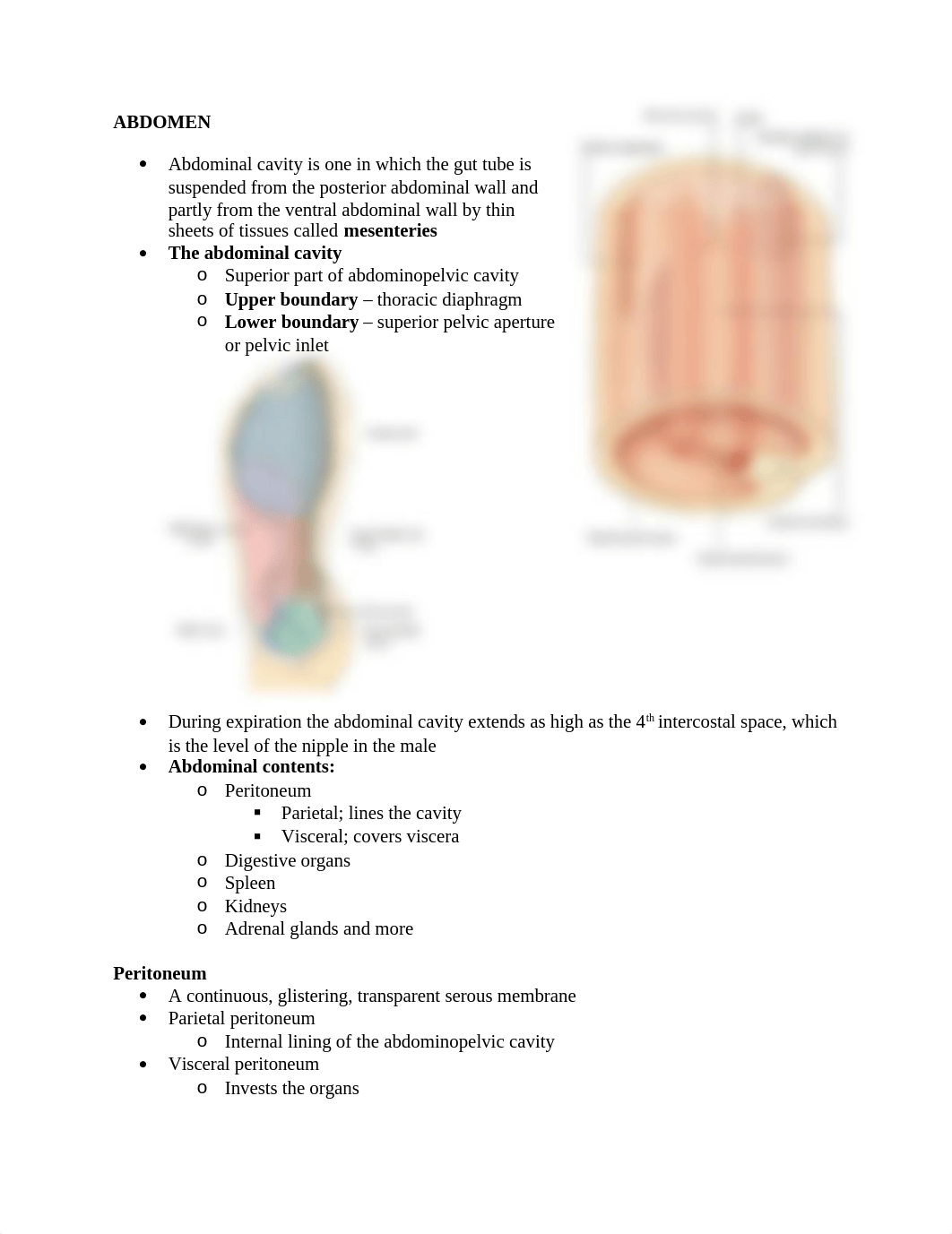 2. ABDOMEN ANATOMY EXAM 2.docx_dhgdc4w6fno_page1