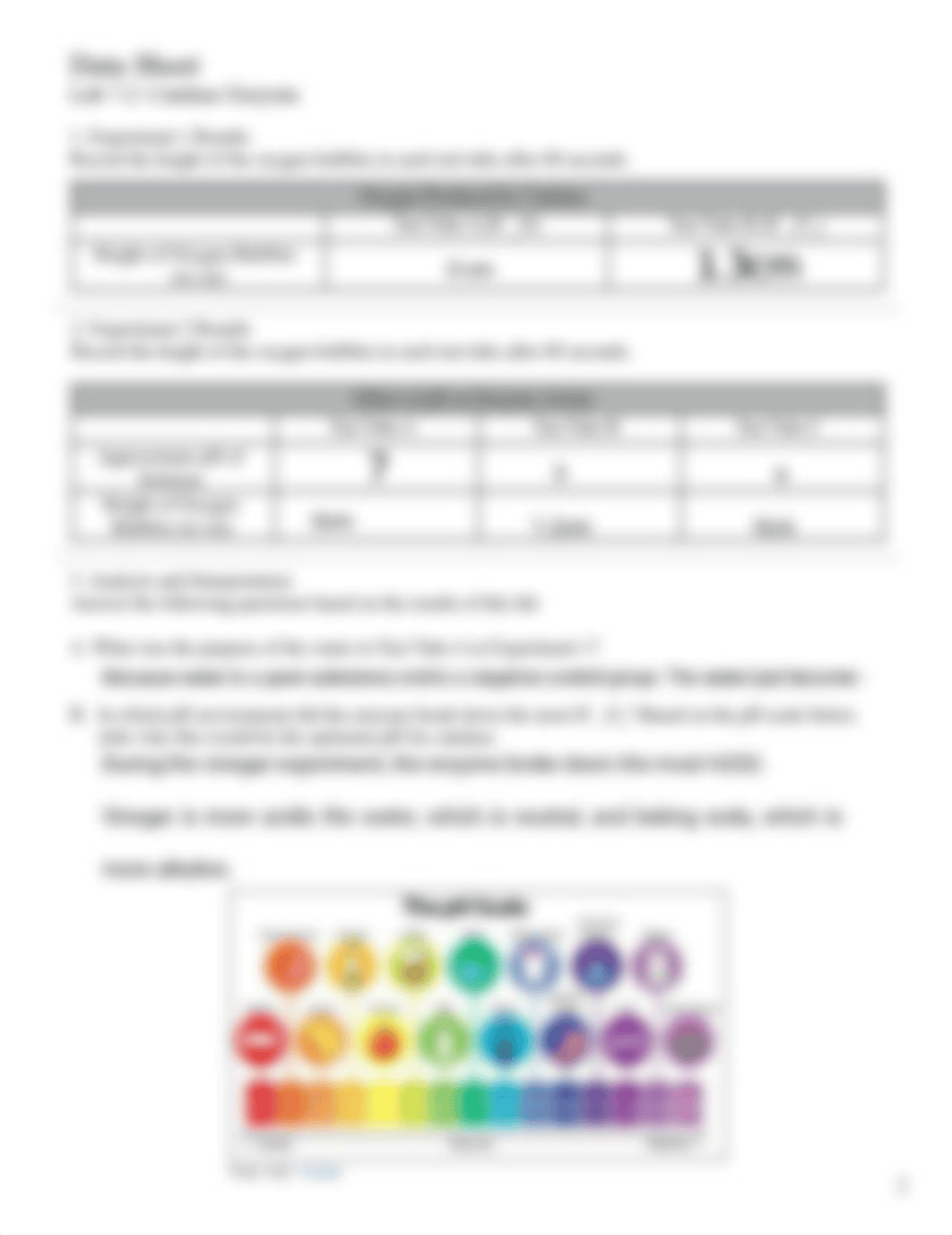 Kami Export - Catalase lab.pdf_dhghk3psj1a_page2