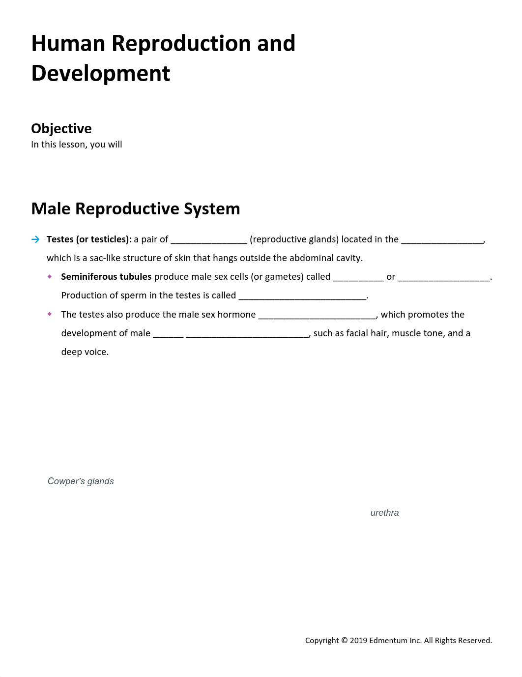 Guided Notes - Human Reproduction and Development.pdf_dhgj9829om4_page1