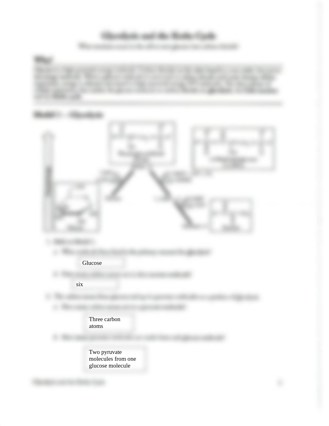 Glycolysis and Krebs Cycle POGIL.docx_dhglpjooyfe_page1