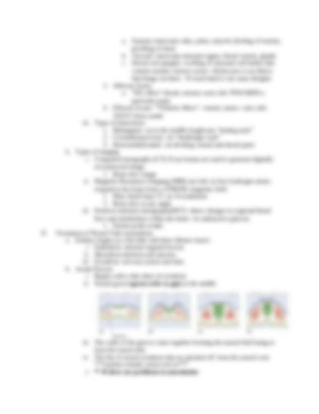 Neuroscience Chapter 7_dhgoc407mof_page2