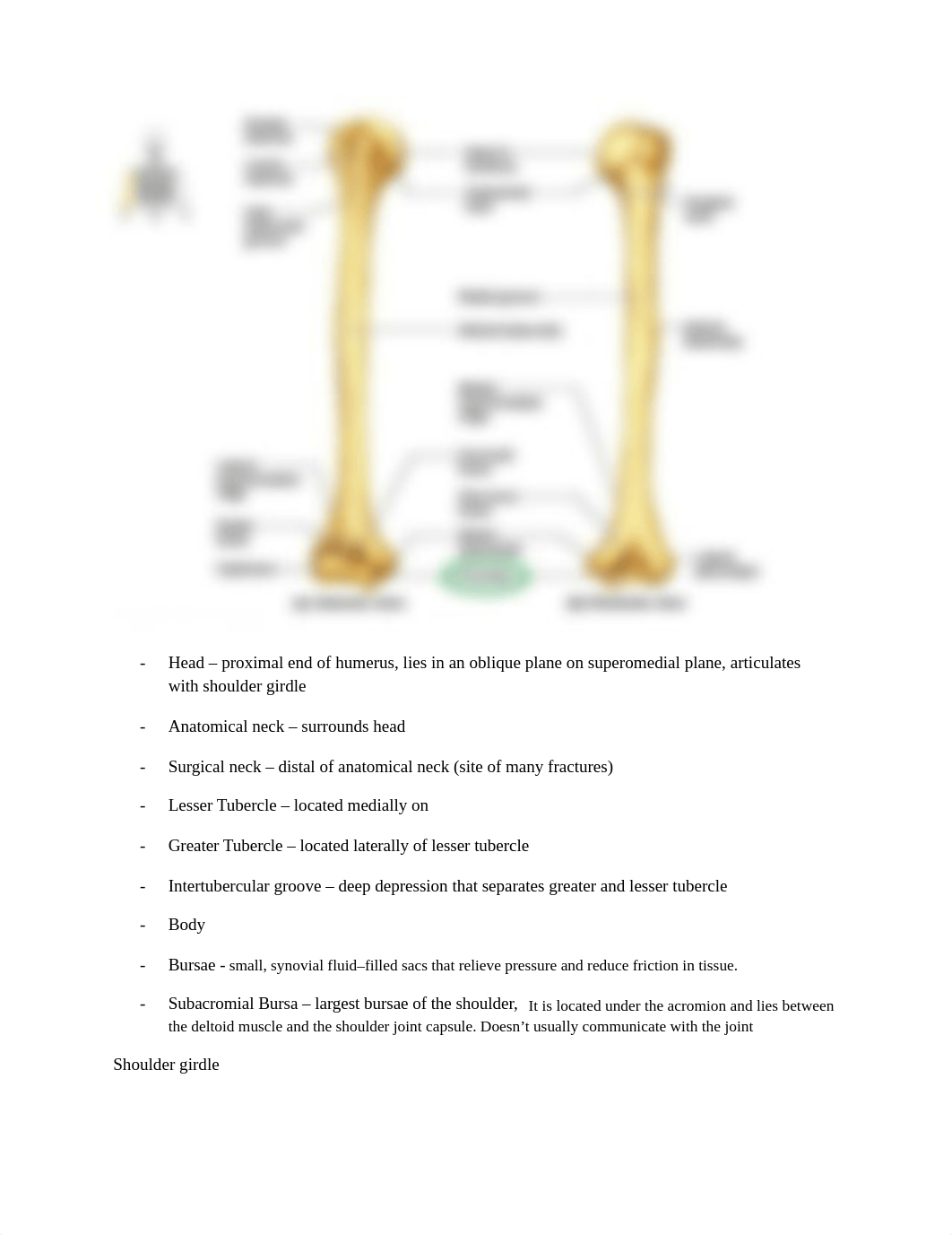 Rad 15 final exam review.docx_dhgqclfkjho_page3