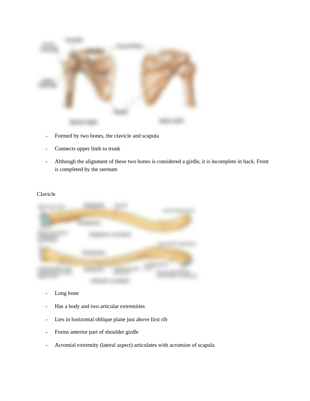 Rad 15 final exam review.docx_dhgqclfkjho_page4