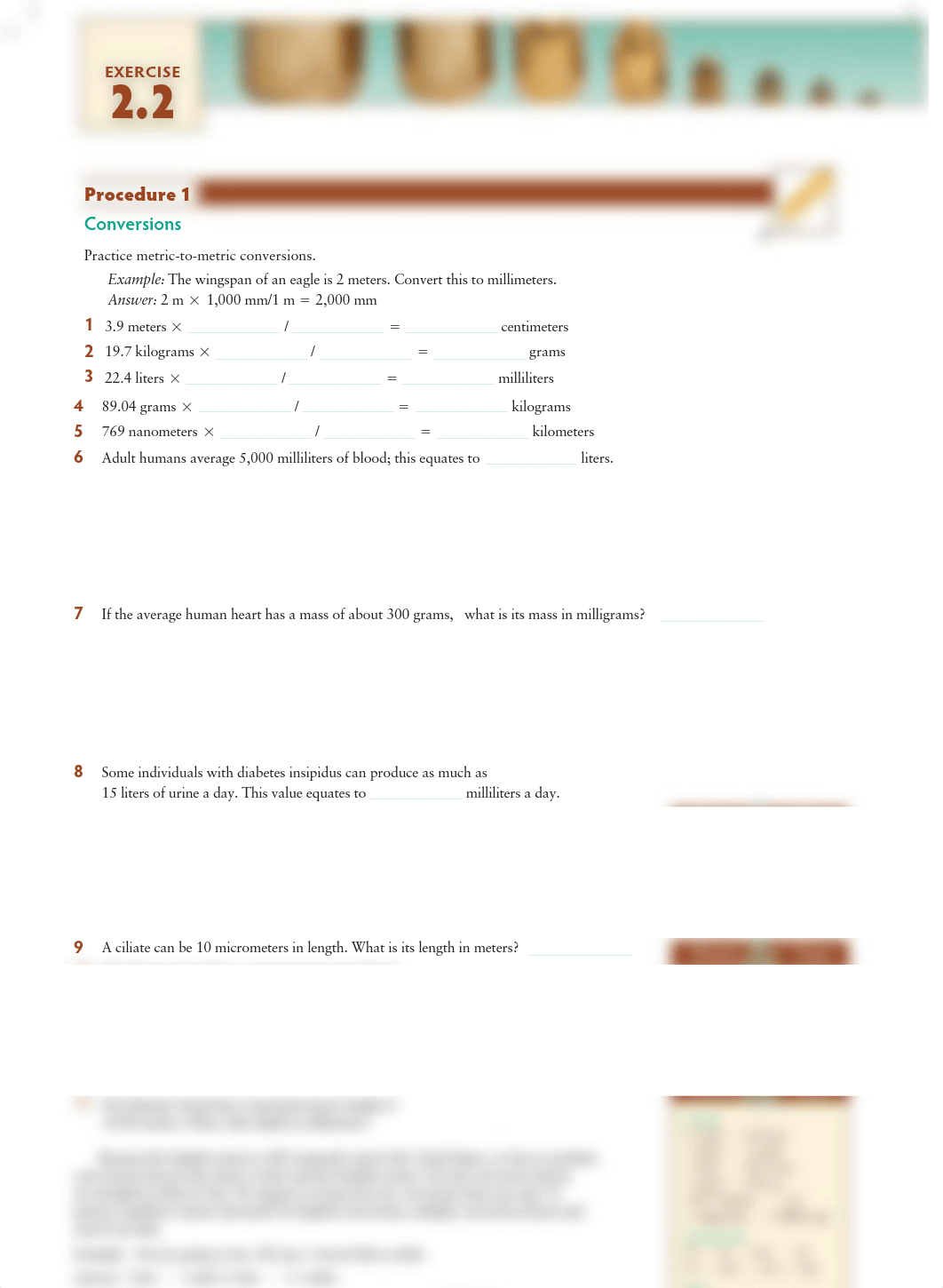 Exercise 2.2 Procedure 1.pdf_dhgw5vjbr5u_page1