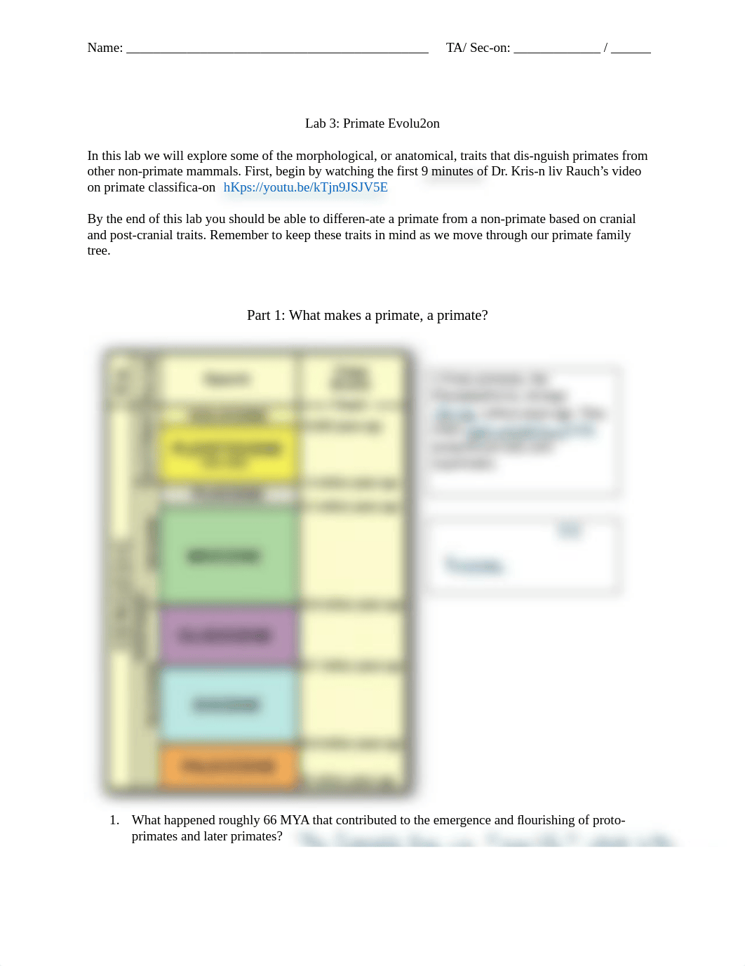 ANTHROPOLOGY 105 - Lab 3.pdf_dhgz975z2i3_page1