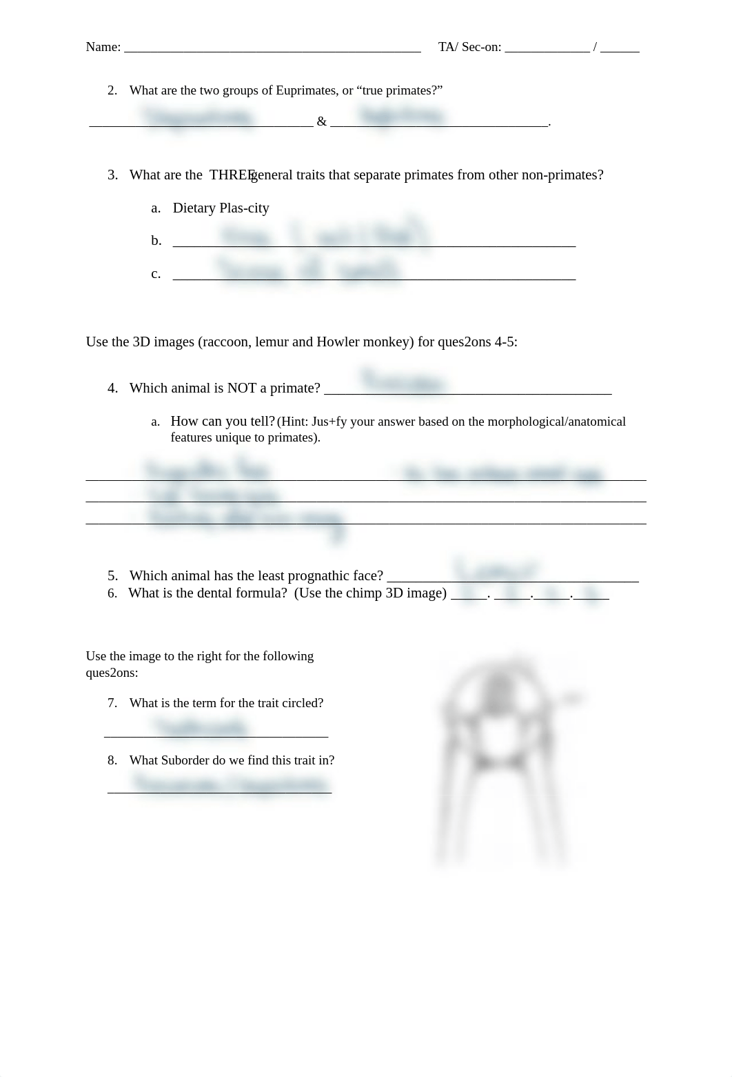 ANTHROPOLOGY 105 - Lab 3.pdf_dhgz975z2i3_page2