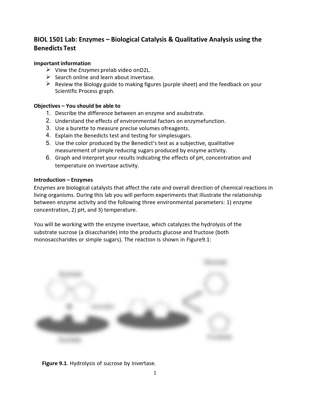 Lab 7 Enzymes F17.pdf_dhh1vtmk2o3_page1