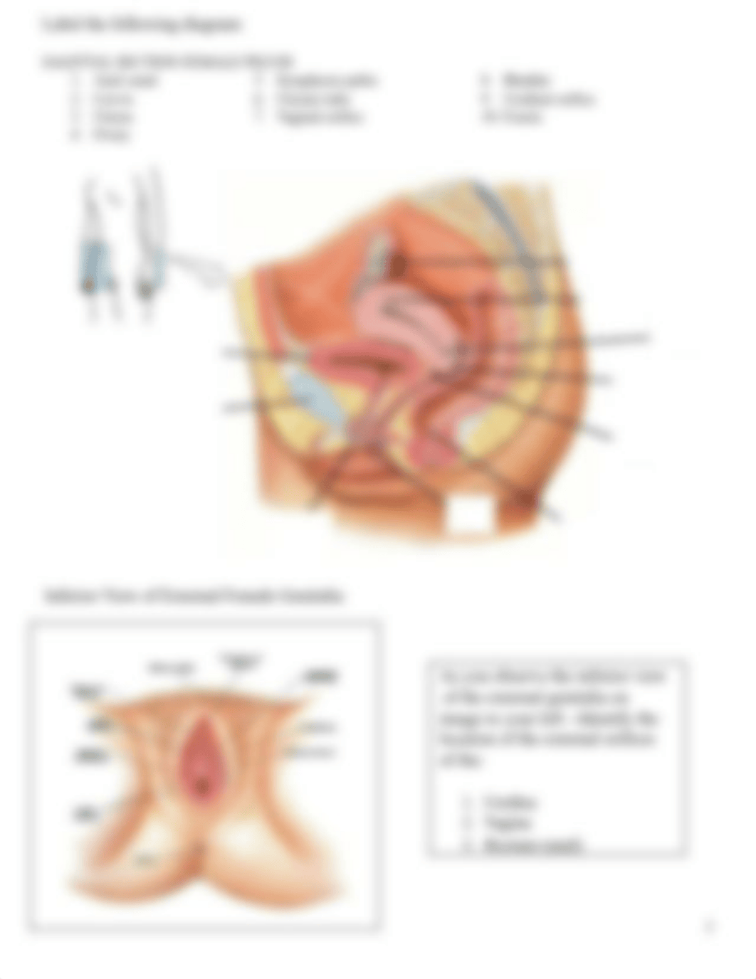 Reproductive Lab Handout.pptx_dhh7gdoh3mq_page3