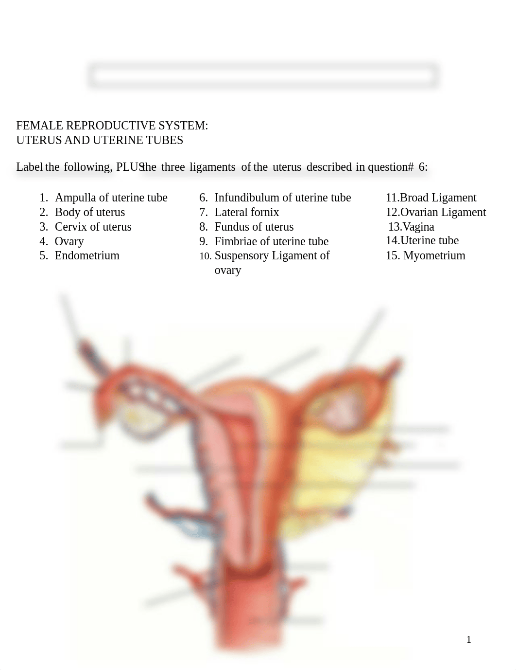 Reproductive Lab Handout.pptx_dhh7gdoh3mq_page1