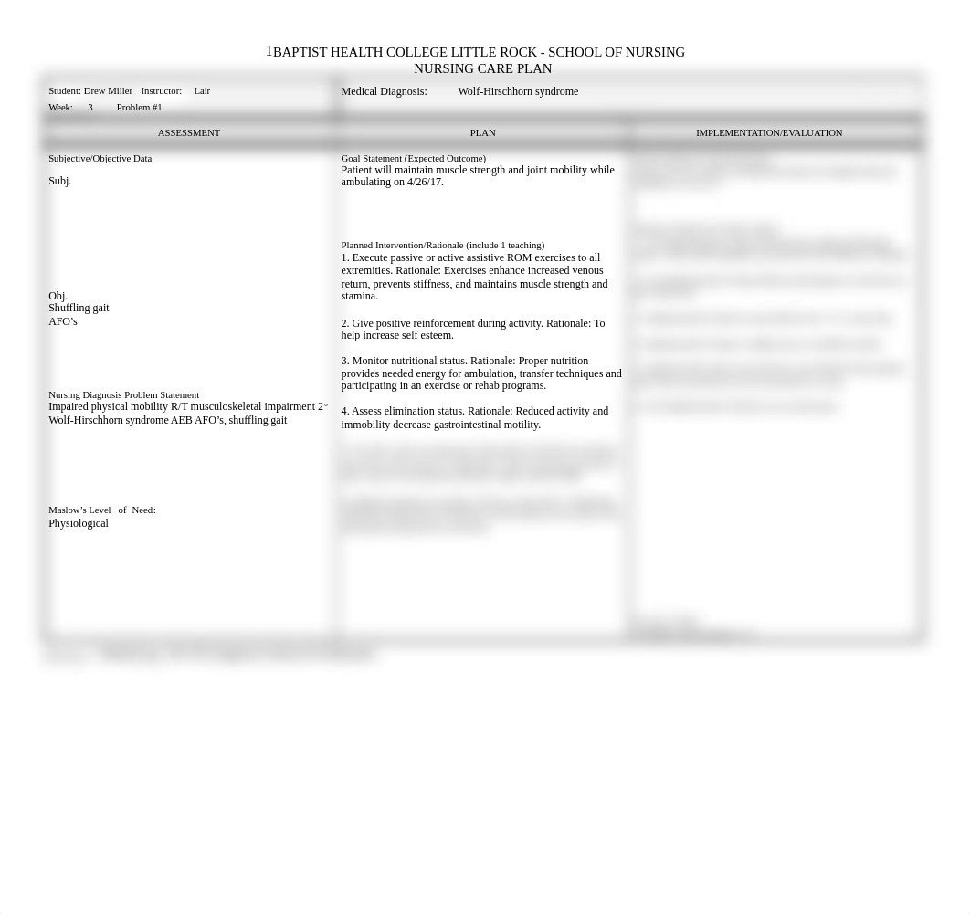 Care Plan - 2 Problems Sp 2017-Easter Seals.docx_dhh9jk31ugc_page1