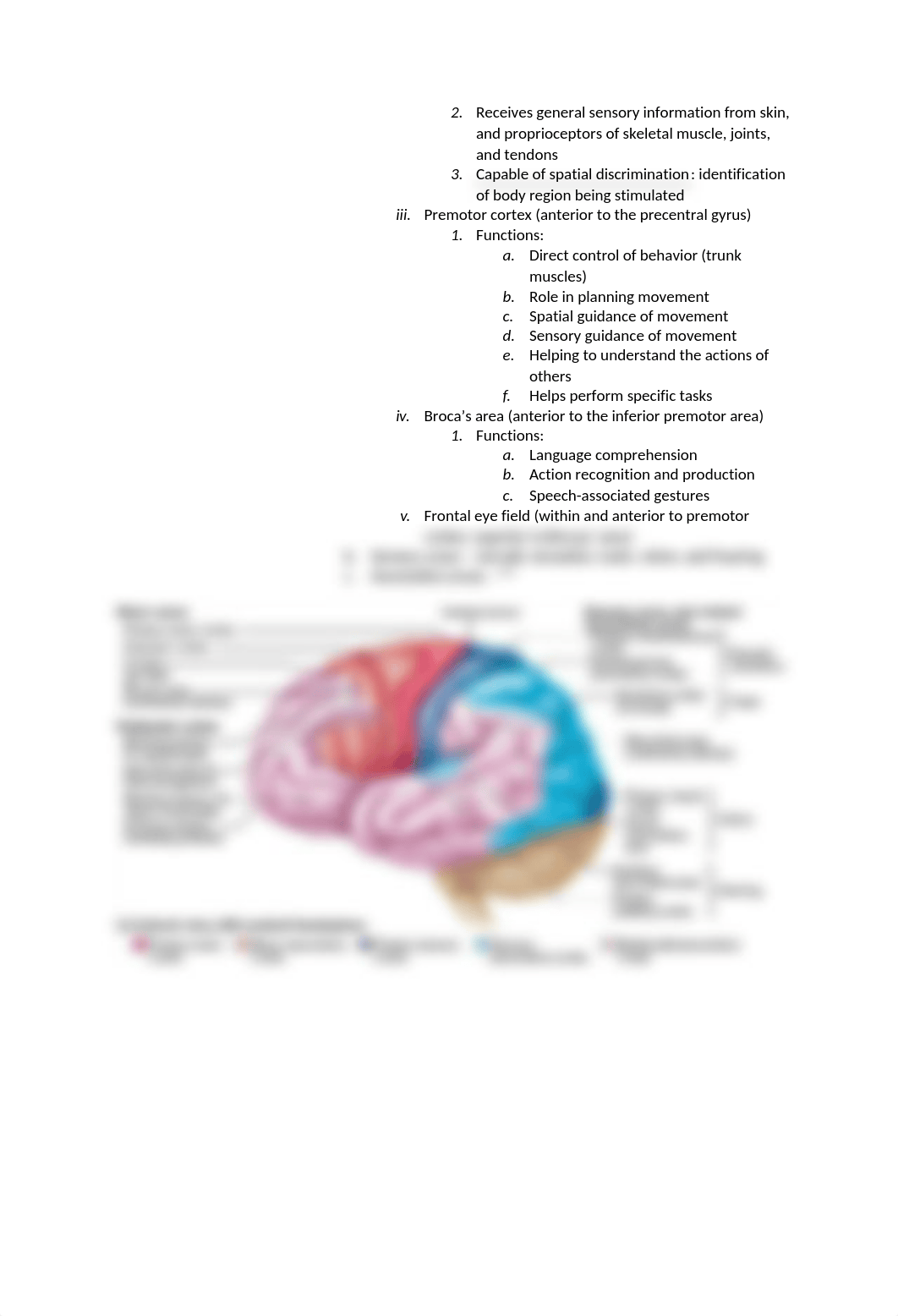 Chapt. 12 Anatomy_dhhi2ymkdrh_page5