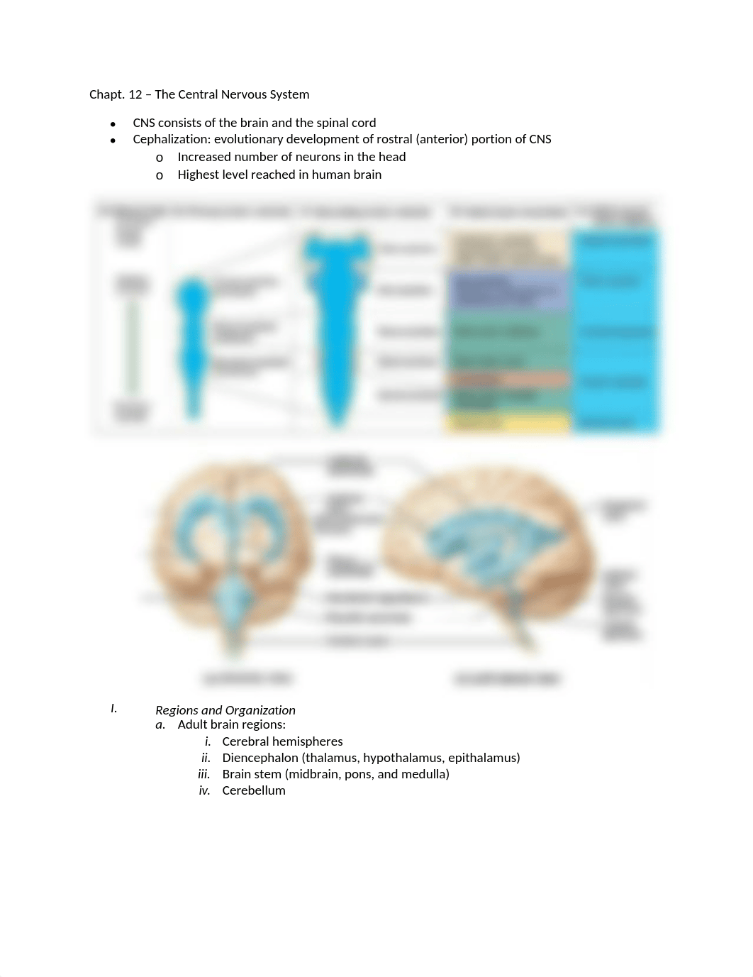 Chapt. 12 Anatomy_dhhi2ymkdrh_page1