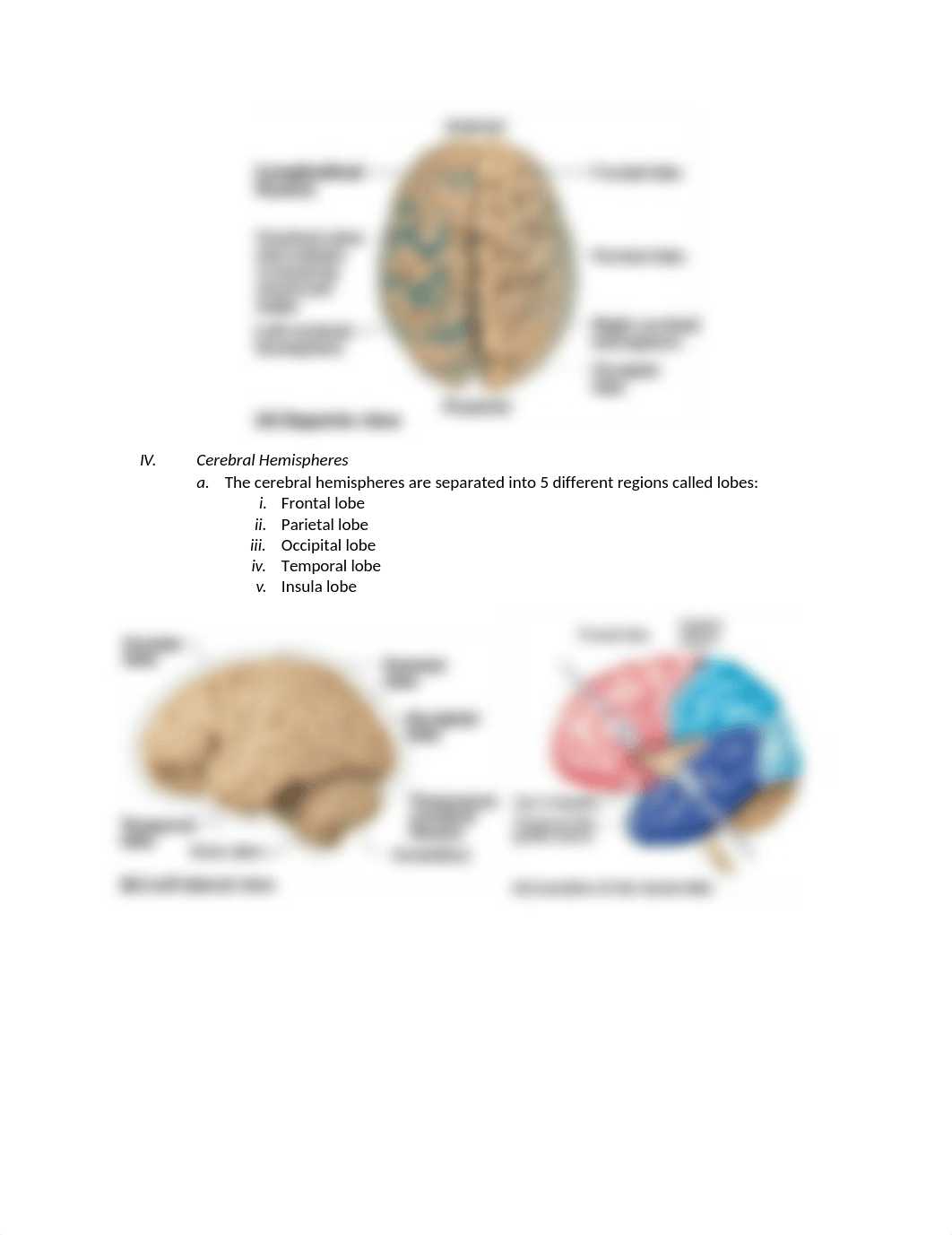 Chapt. 12 Anatomy_dhhi2ymkdrh_page3