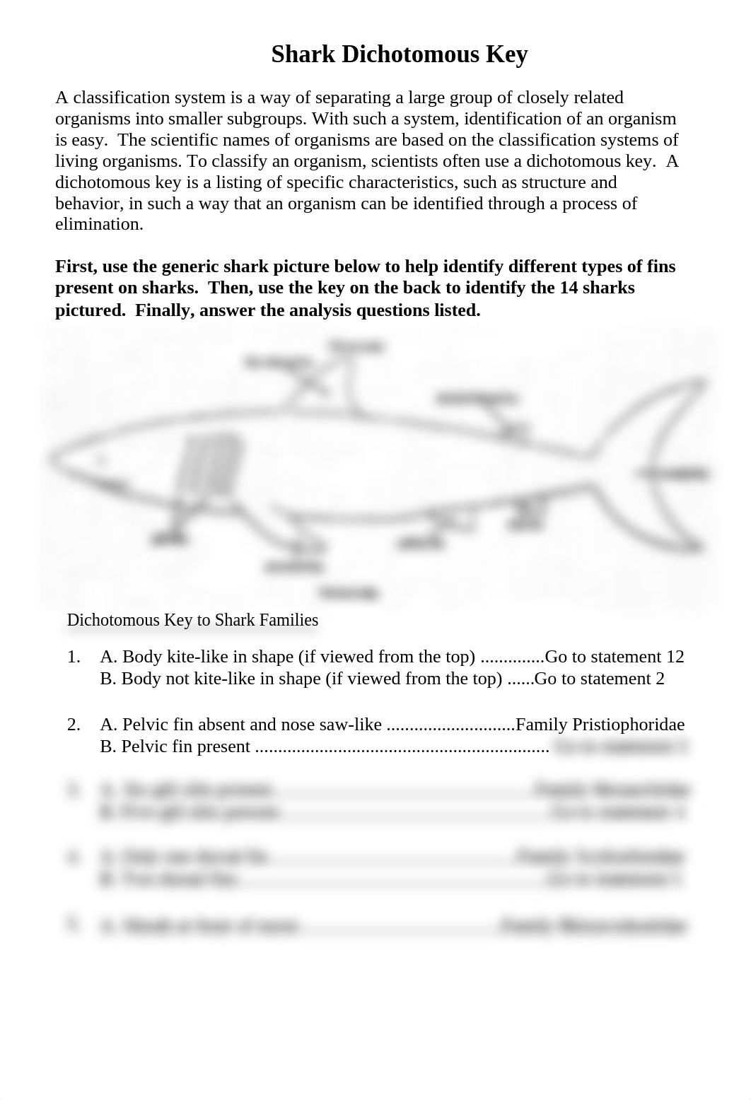 Shark_Dichotomous_Key_18-19_dhhk0kcsggk_page1